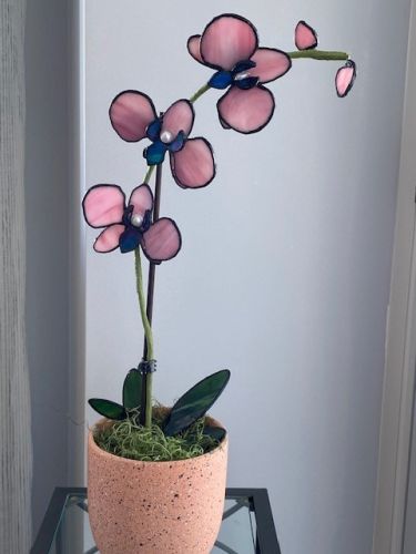 Orchidée de Louise